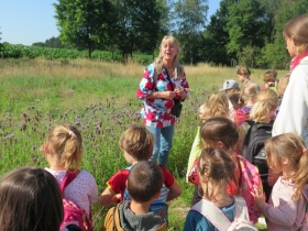 20200707k2-d2-het-netepaleis-34