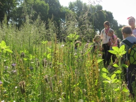 20200707k2-d2-het-netepaleis-61