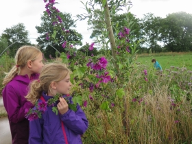 20200710Kamp-II-het-netepaleis-Hilde-F-102