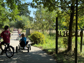 0ff4dfc6-1db5-4390-9923-1d027bec9819