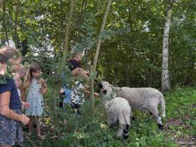 f7a26892-e8e6-4e63-841e-61fd5d5ad1ee