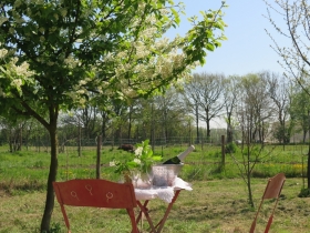 20190420hilde f het netepaleis (36)