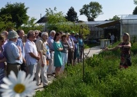 DSC_0235-300x225-300x198