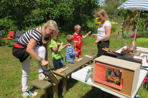 20190616HOOGTIJ-Boom-foto-Sabine-Denissen-Hilde-Frateur-2