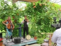 2 STAD 26juni2015 HilFra Kessel (8)