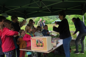 20190519Zwalm-Hilde-59-10