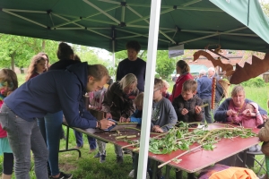 20190519Zwalm-Hilde-59-12